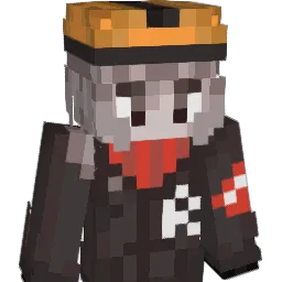 R1void
