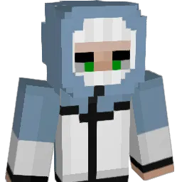 R260's Minecraft skin