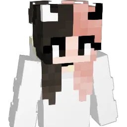 R2Day2's Minecraft skin