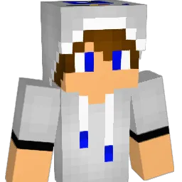 R2dzwo Minecraft avatar bust