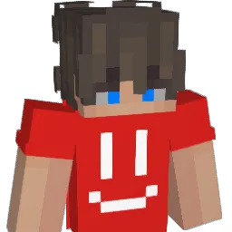 R3X_24 Minecraft avatar bust