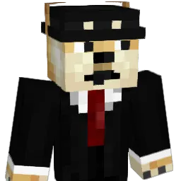 R3gi Minecraft avatar bust