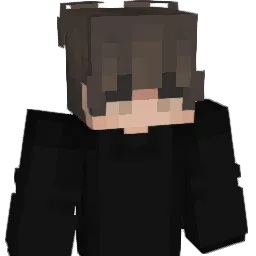 R41NYD4YY Minecraft avatar bust