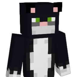 R4nd0mHum4n Minecraft avatar bust