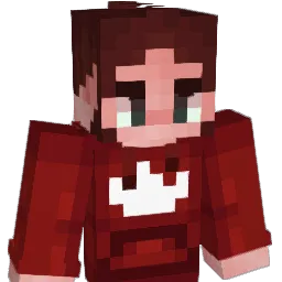 R6D3 Minecraft avatar bust