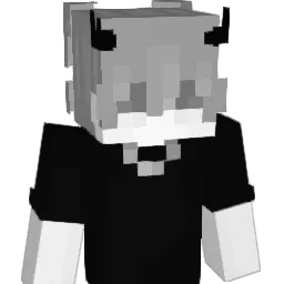 RAC_OOOOO_N Minecraft avatar bust
