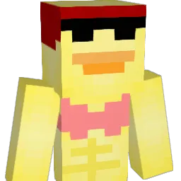 RAJMEER Minecraft avatar bust