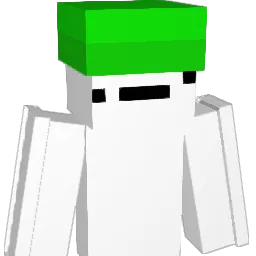RAKOER Minecraft avatar bust