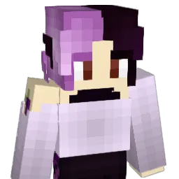 RAV3N_S