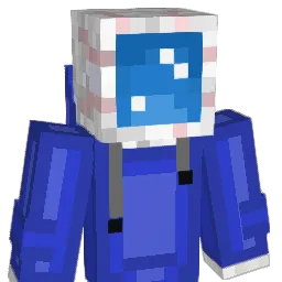 RAYYANBASHEER Minecraft avatar bust