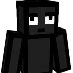 RE13L