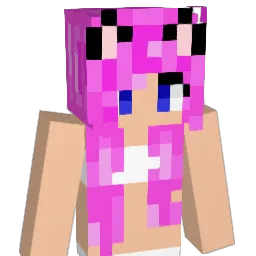 RESHIRAM981 Minecraft avatar bust