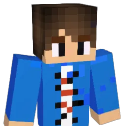 REX9916 Minecraft avatar bust