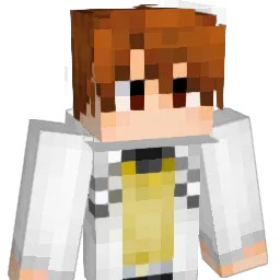 RE_wwww Minecraft avatar bust
