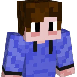 REpu70 Minecraft avatar bust