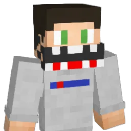 RFX_TmaN Minecraft avatar bust