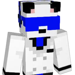 RFranz2309 Minecraft avatar bust