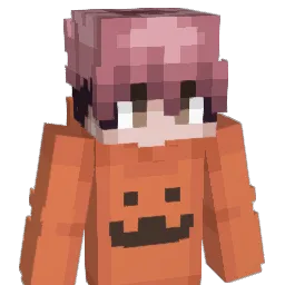 RH8_ Minecraft avatar bust