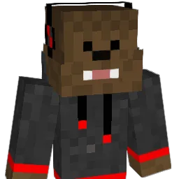 RJ13_ Minecraft avatar bust