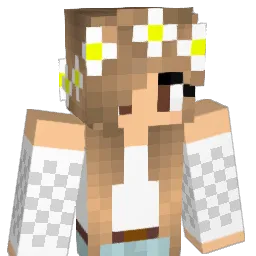 RK241's Minecraft skin