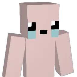 RKDragon25 Minecraft avatar bust