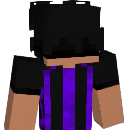 RKN01_ Minecraft avatar bust