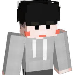 RKTIGER Minecraft avatar bust
