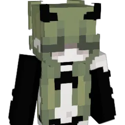 RM_Aquarius Minecraft avatar bust