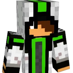 RNGesus1311 Minecraft avatar bust