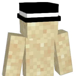 RRRavex_ Minecraft avatar bust