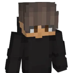 RSJAN11 Minecraft avatar bust