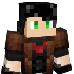 RSN8005 Minecraft avatar bust