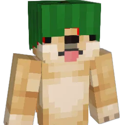 RSNGspace11 Minecraft avatar bust