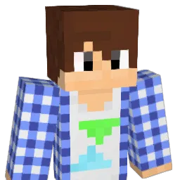 RSN_Flappie Minecraft avatar bust