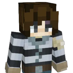 RSNinja Minecraft avatar bust