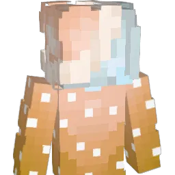 RTFVAS