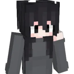 RVI14 Minecraft avatar bust
