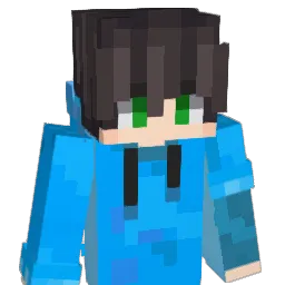 RXTsolo Minecraft avatar bust