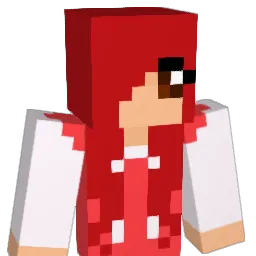 RYANCARROLL123 Minecraft avatar bust