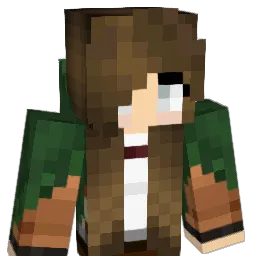 R_se17 Minecraft avatar bust