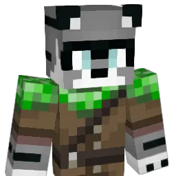 Rac00nSorcier Minecraft avatar bust