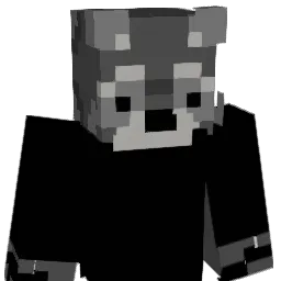 Raccoonsk69 Minecraft avatar bust