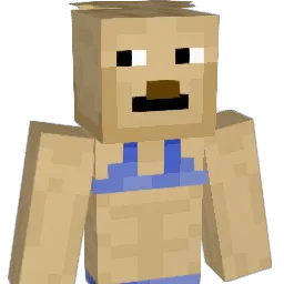 Racer1_0 Minecraft avatar bust