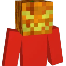 RacinMason89 Minecraft avatar bust