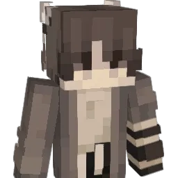 Racoonigain Minecraft avatar bust