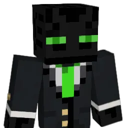 Rad222 Minecraft avatar bust