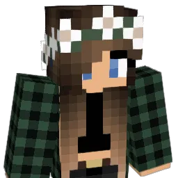 RadRy Minecraft avatar bust
