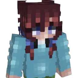 Radek3991 Minecraft avatar bust