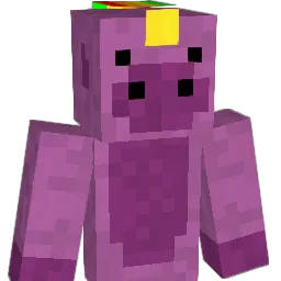 RadicalUnicorn84 Minecraft avatar bust