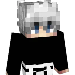 Radicool00 Minecraft avatar bust